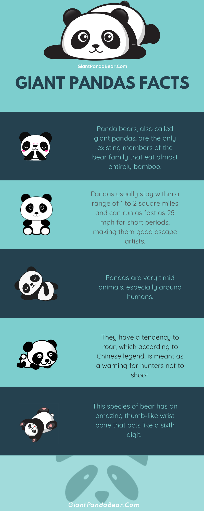 Giant Pandas Facts